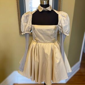 Cosplay dress FINAL PRICE